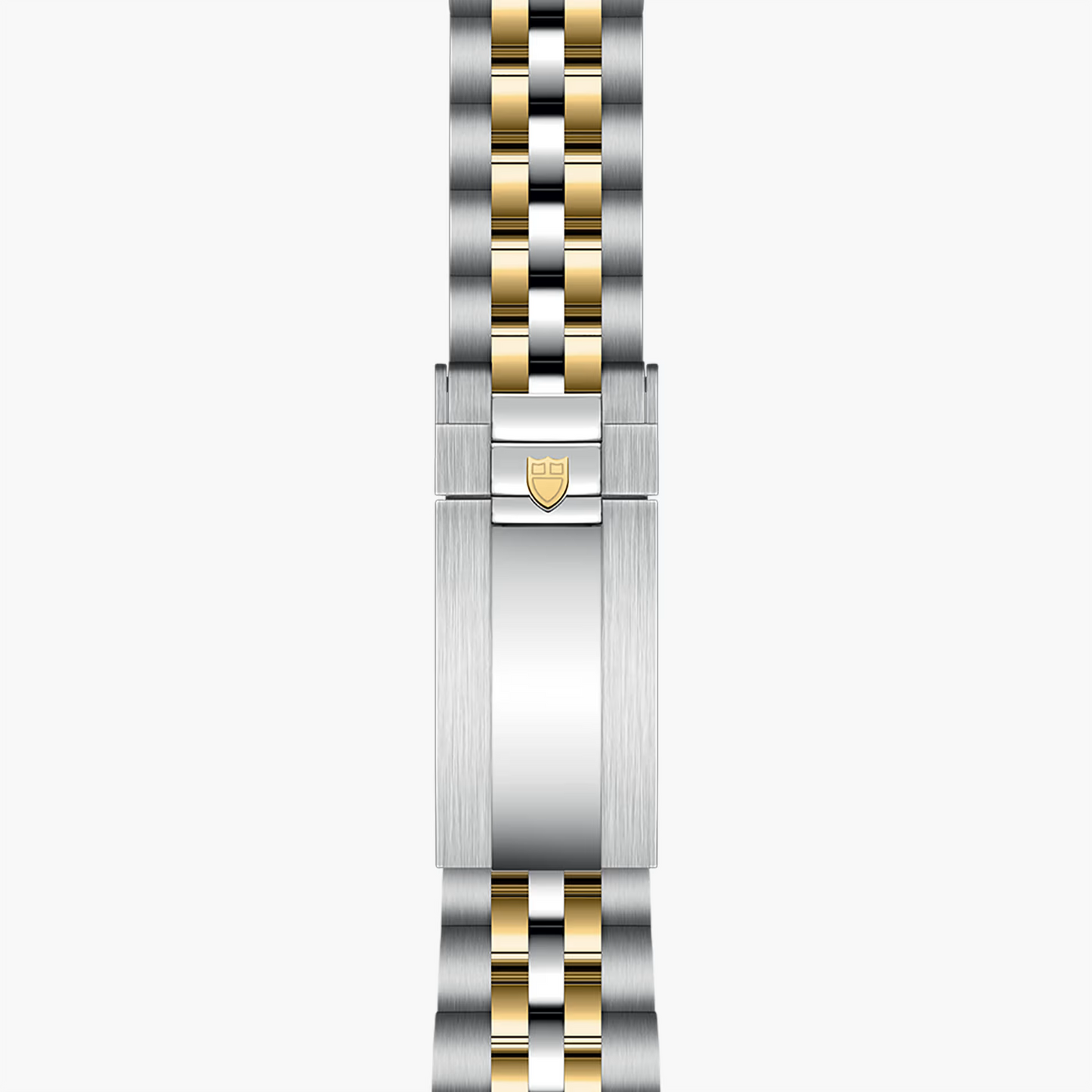 Tudor Black Bay S&G