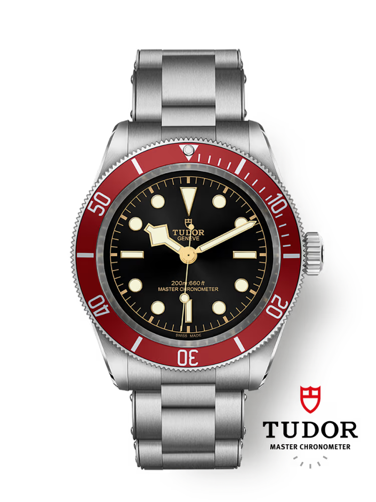 Tudor Black Bay