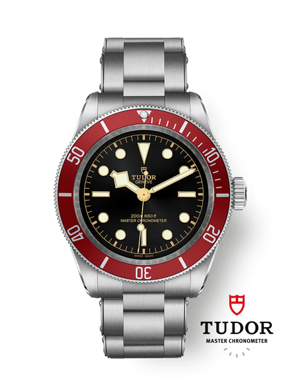 Tudor Black Bay