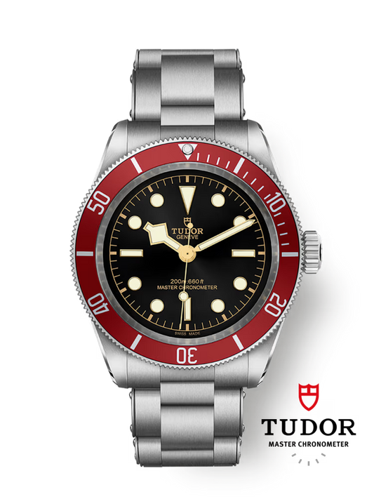 Tudor Black Bay