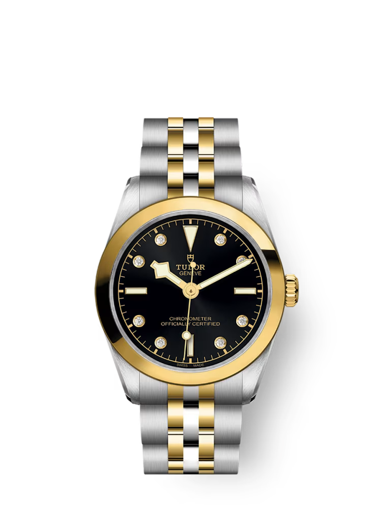 Tudor Black Bay S&G