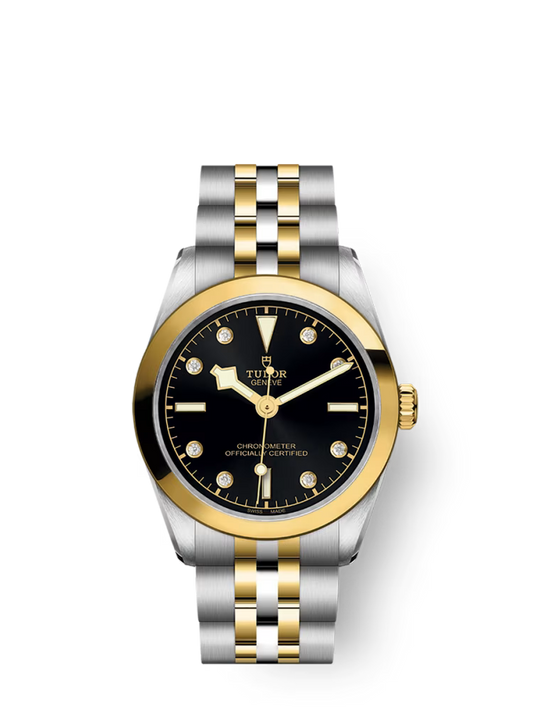 Tudor Black Bay S&G